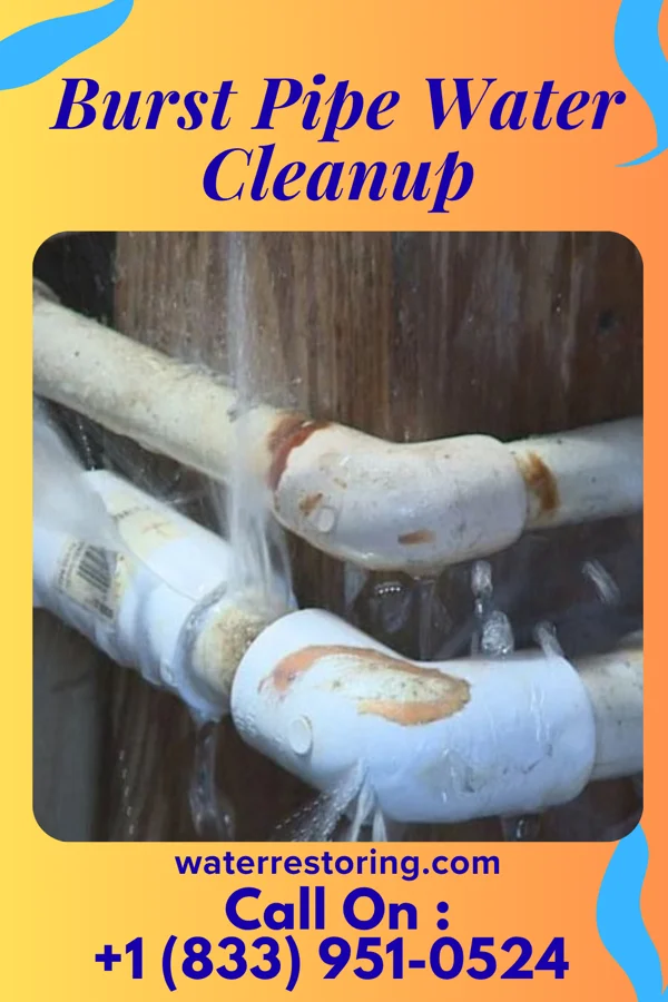 Burst Pipe Water Cleanup in Zearing, IA