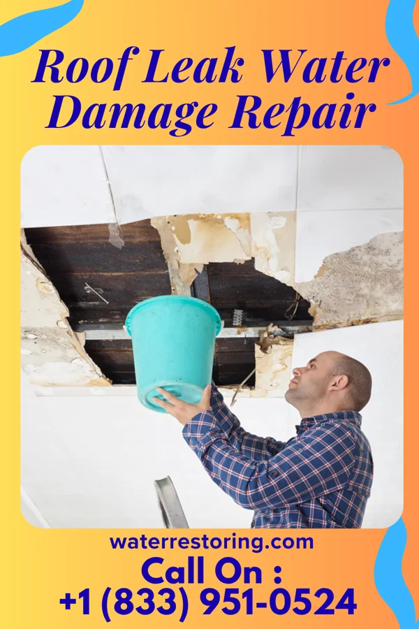 Roof Leak Water Damage Repair in Zearing, IA
