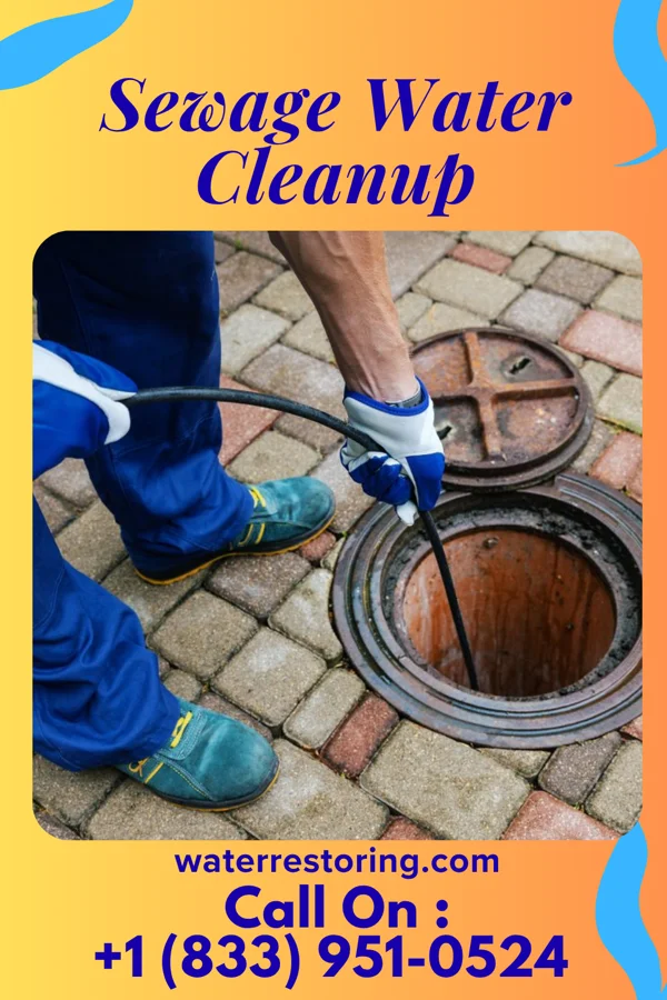 Sewage Water Cleanup in Zearing, IA